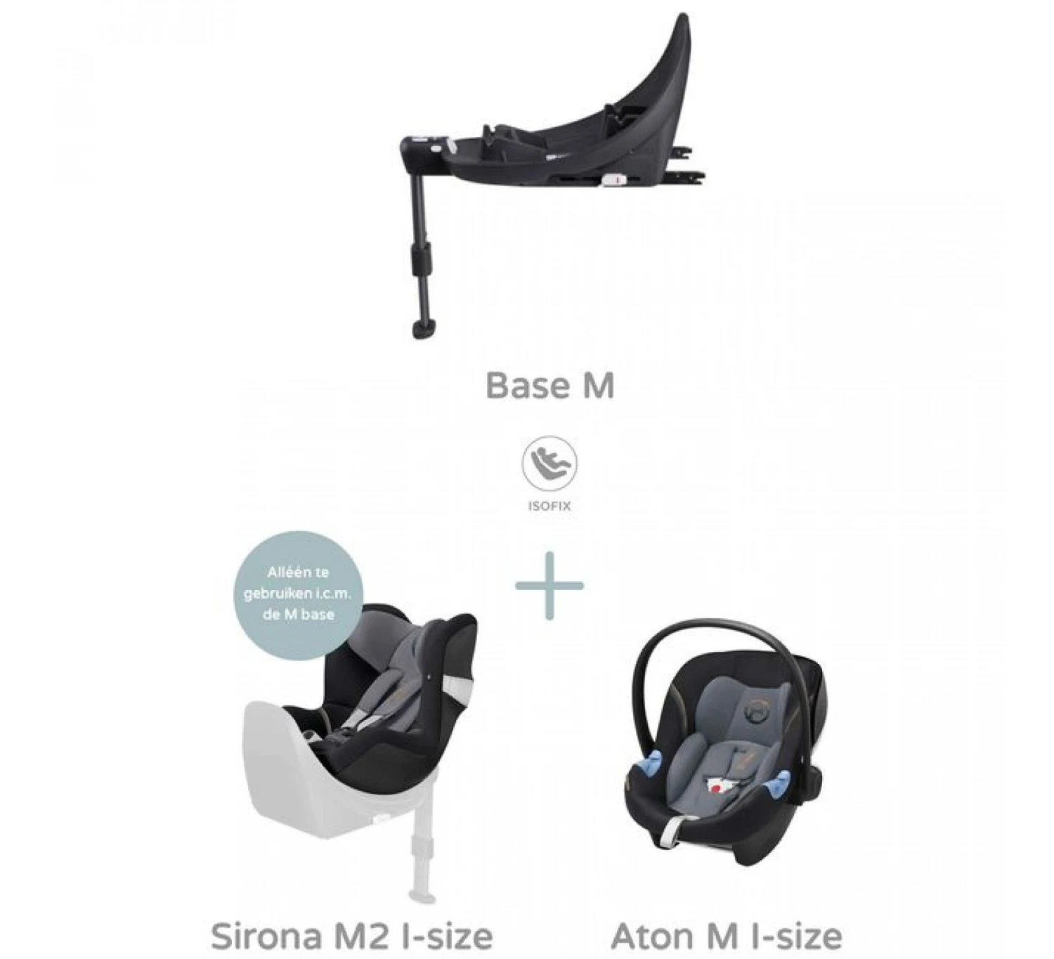 Base M - Afbeelding 2