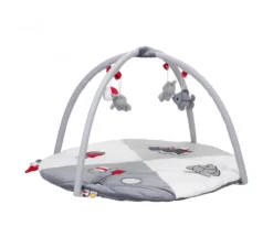 Nijntje Speelkleed Met Boog - Fun At Sea